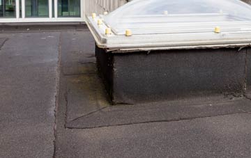 disadvantages of Hubbards Hill flat roofs