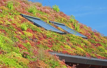 Hubbards Hill living roof systems