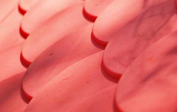 Hubbards Hill plastic roof costs