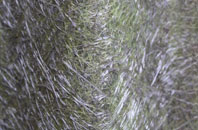 Hubbards Hill fibreglass roof work