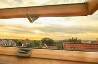 rated Hubbards Hill roof window companies
